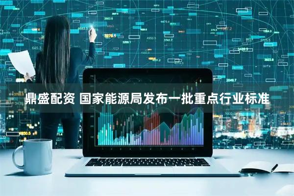 鼎盛配资 国家能源局发布一批重点行业标准