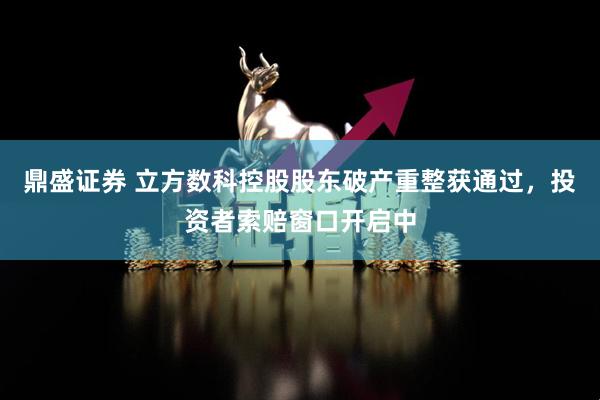 鼎盛证券 立方数科控股股东破产重整获通过，投资者索赔窗口开启中
