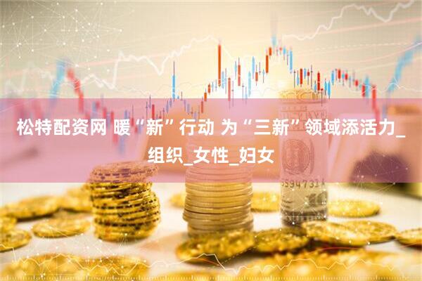 松特配资网 暖“新”行动 为“三新”领域添活力_组织_女性_妇女