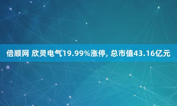 倍顺网 欣灵电气19.99%涨停, 总市值43.16亿元
